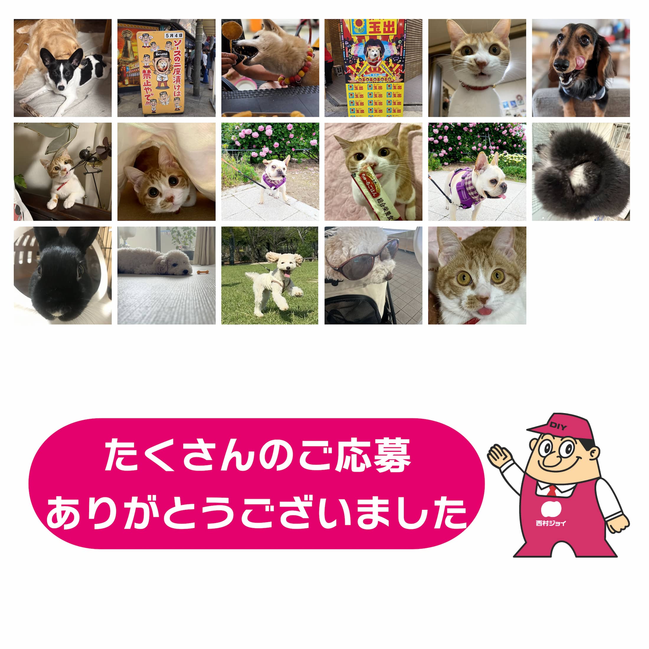 フォトコンテスト結果発表