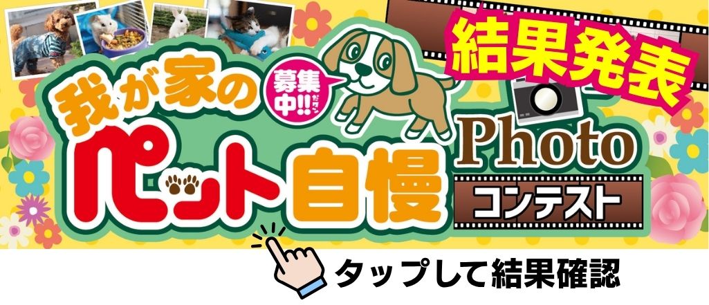 フォトコンテスト結果発表