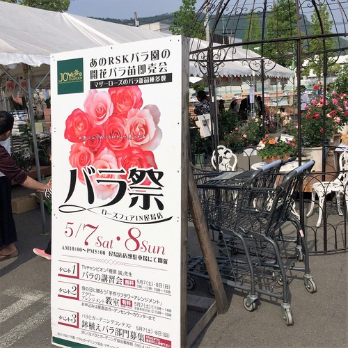 西村ジョイ屋島店 バラ 薔薇 西村ジョイ